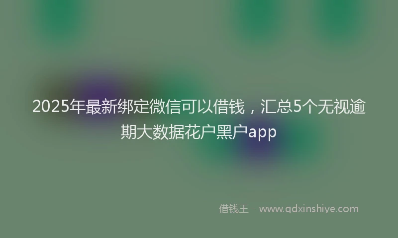 2025年最新绑定微信可以借钱，汇总5个无视逾期大数据花户黑户app
