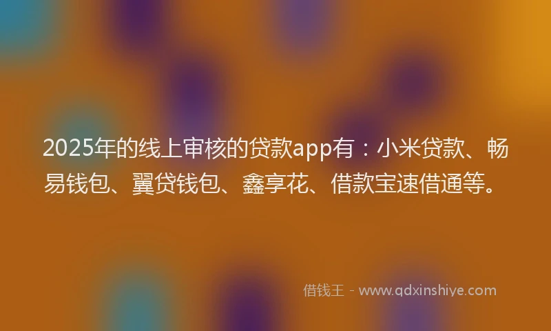 2025年的线上审核的贷款app有：小米贷款、畅易钱包、翼贷钱包、鑫享花、借款宝速借通等。