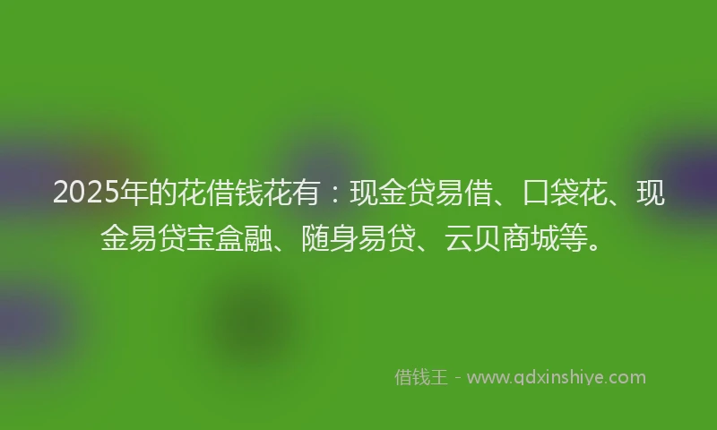 2025年的花借钱花有：现金贷易借、口袋花、现金易贷宝盒融、随身易贷、云贝商城等。