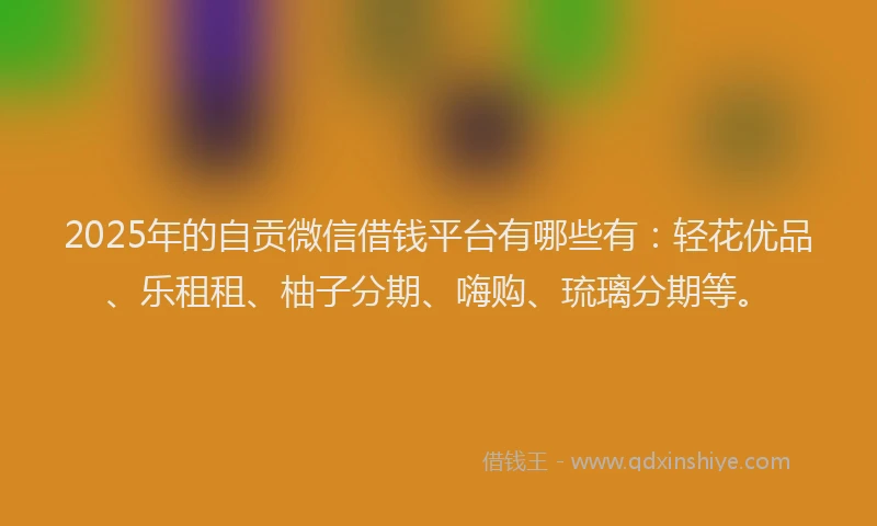 2025年的自贡微信借钱平台有哪些有：轻花优品、乐租租、柚子分期、嗨购、琉璃分期等。