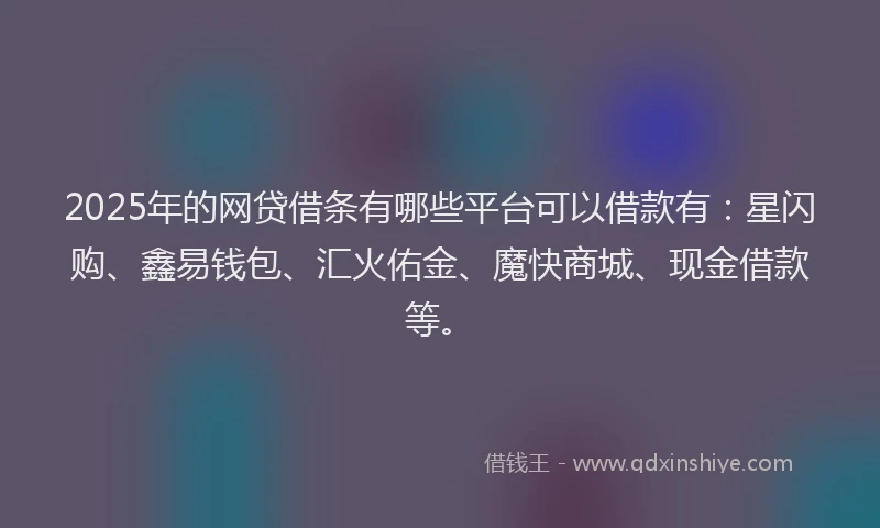 2025年的网贷借条有哪些平台可以借款有：星闪购、鑫易钱包、汇火佑金、魔快商城、现金借款等。