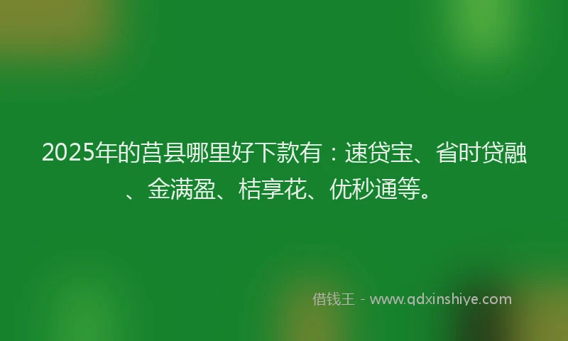 2025年的莒县哪里好下款有：速贷宝、省时贷融、金满盈、桔享花、优秒通等。