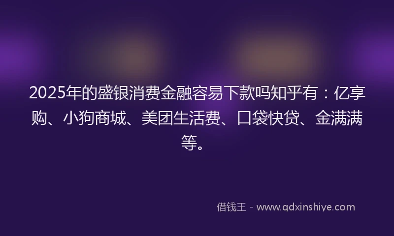 2025年的盛银消费金融容易下款吗知乎有：亿享购、小狗商城、美团生活费、口袋快贷、金满满等。