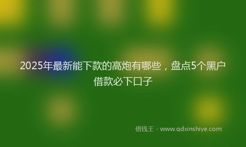 2025年最新能下款的高炮有哪些，盘点5个黑户借款必下口子
