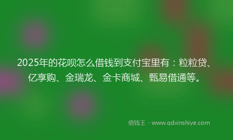 2025年的花呗怎么借钱到支付宝里有：粒粒贷、亿享购、金瑞龙、金卡商城、甄易借通等。