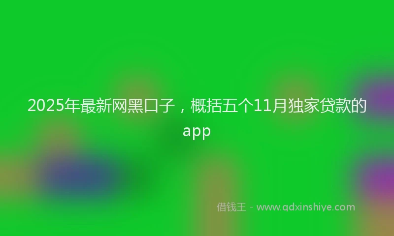 2025年最新网黑口子，概括五个11月独家贷款的app