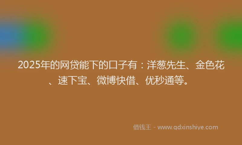 2025年的网贷能下的口子有：洋葱先生、金色花、速下宝、微博快借、优秒通等。