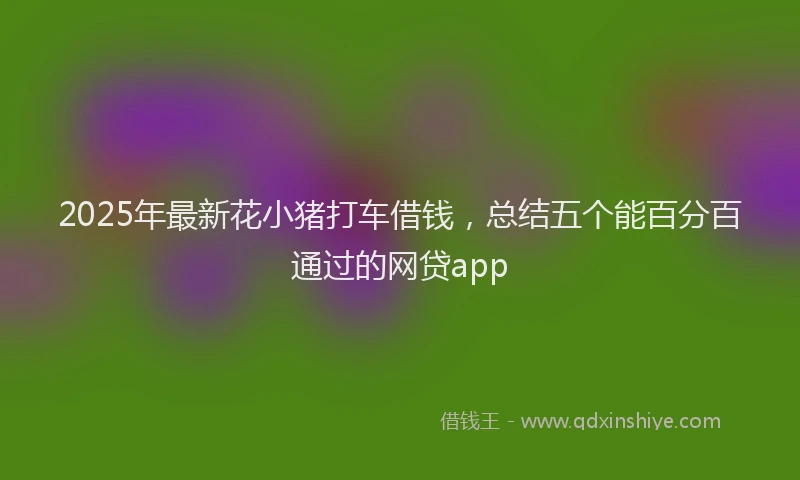 2025年最新花小猪打车借钱，总结五个能百分百通过的网贷app