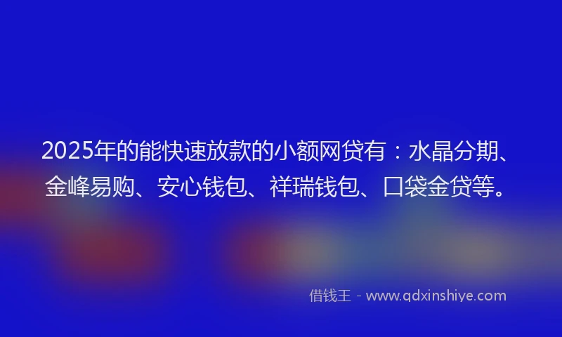 2025年的能快速放款的小额网贷有：水晶分期、金峰易购、安心钱包、祥瑞钱包、口袋金贷等。