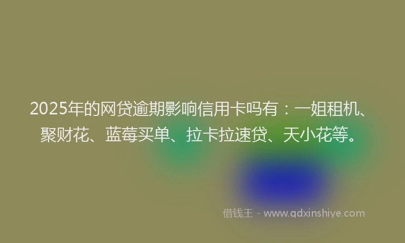 2025年的网贷逾期影响信用卡吗有：一姐租机、聚财花、蓝莓买单、拉卡拉速贷、天小花等。