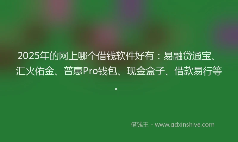 2025年的网上哪个借钱软件好有：易融贷通宝、汇火佑金、普惠Pro钱包、现金盒子、借款易行等。