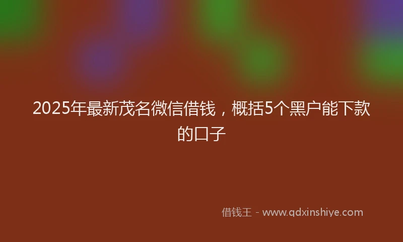 2025年最新茂名微信借钱，概括5个黑户能下款的口子