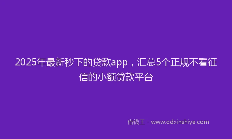 2025年最新秒下的贷款app，汇总5个正规不看征信的小额贷款平台