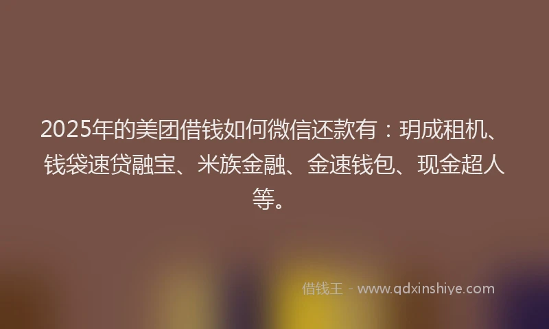 2025年的美团借钱如何微信还款有：玥成租机、钱袋速贷融宝、米族金融、金速钱包、现金超人等。