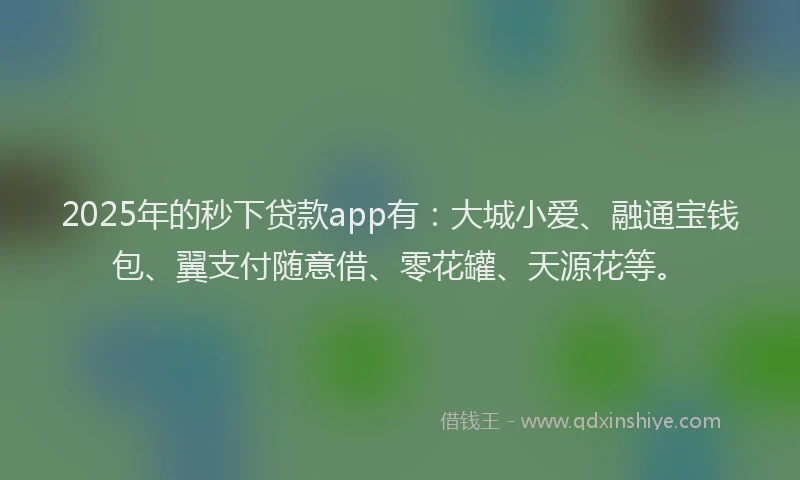 2025年的秒下贷款app有：大城小爱、融通宝钱包、翼支付随意借、零花罐、天源花等。