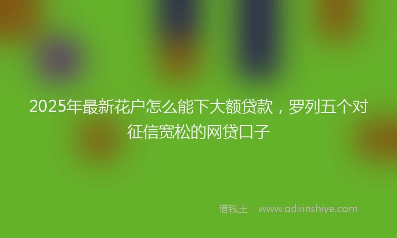 2025年最新花户怎么能下大额贷款，罗列五个对征信宽松的网贷口子