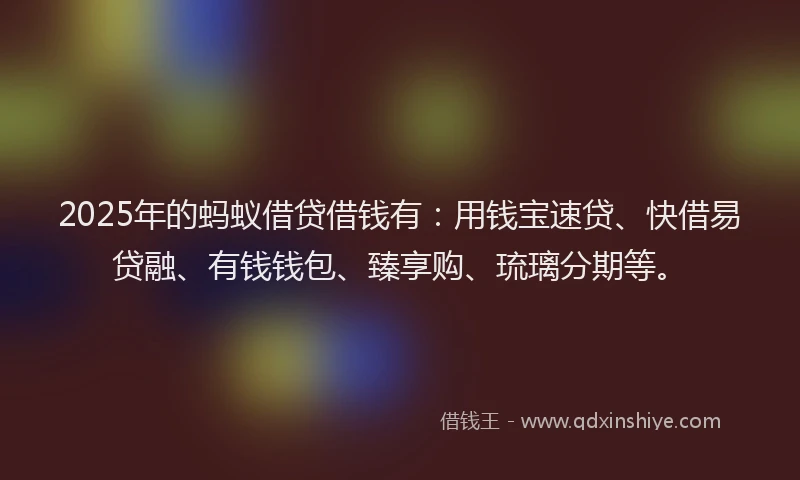2025年的蚂蚁借贷借钱有：用钱宝速贷、快借易贷融、有钱钱包、臻享购、琉璃分期等。