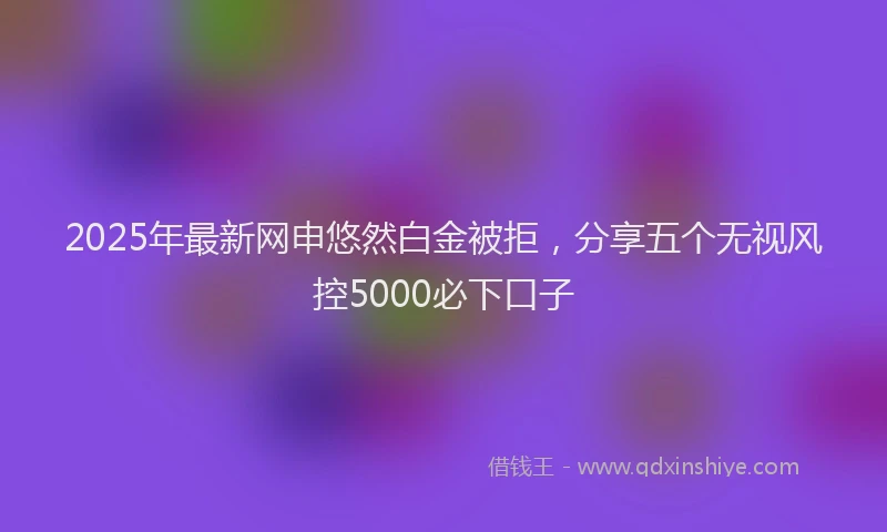 2025年最新网申悠然白金被拒，分享五个无视风控5000必下口子