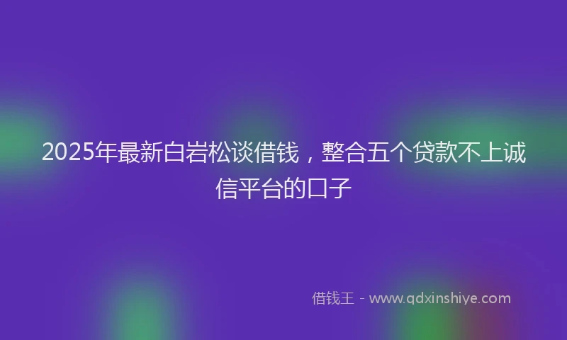 2025年最新白岩松谈借钱，整合五个贷款不上诚信平台的口子