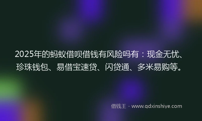 2025年的蚂蚁借呗借钱有风险吗有：现金无忧、珍珠钱包、易借宝速贷、闪贷通、多米易购等。