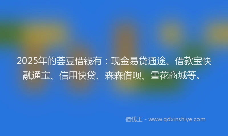 2025年的荟豆借钱有：现金易贷通途、借款宝快融通宝、信用快贷、森森借呗、雪花商城等。
