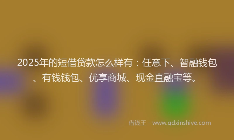 2025年的短借贷款怎么样有：任意下、智融钱包、有钱钱包、优享商城、现金直融宝等。