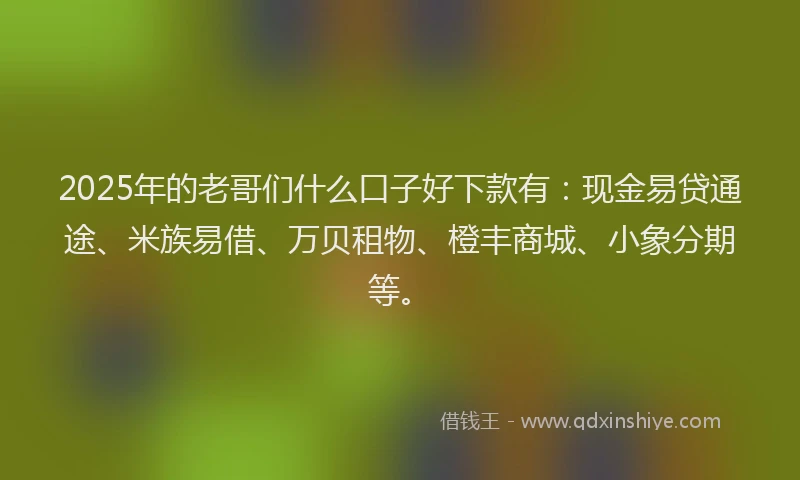 2025年的老哥们什么口子好下款有：现金易贷通途、米族易借、万贝租物、橙丰商城、小象分期等。
