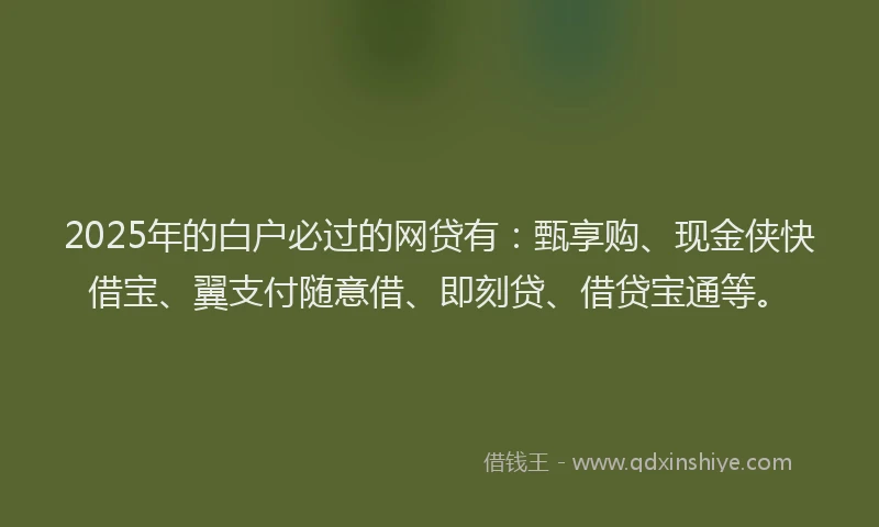 2025年的白户必过的网贷有：甄享购、现金侠快借宝、翼支付随意借、即刻贷、借贷宝通等。