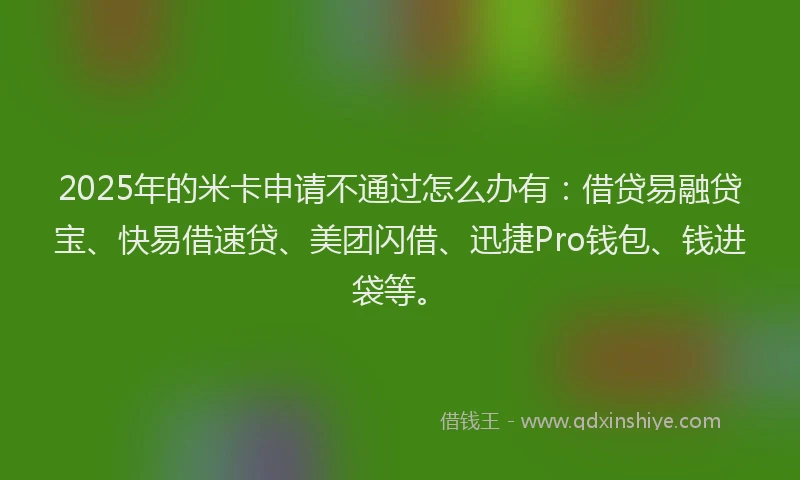 2025年的米卡申请不通过怎么办有：借贷易融贷宝、快易借速贷、美团闪借、迅捷Pro钱包、钱进袋等。