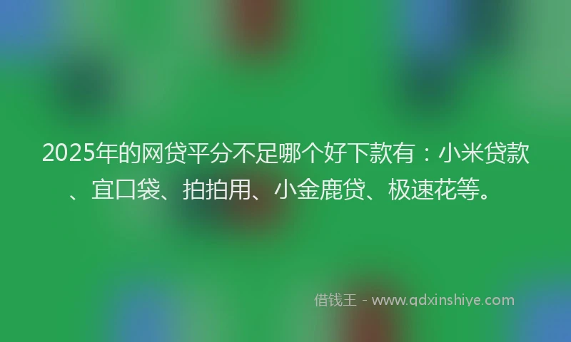 2025年的网贷平分不足哪个好下款有：小米贷款、宜口袋、拍拍用、小金鹿贷、极速花等。