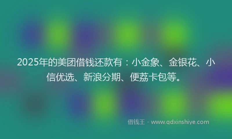 2025年的美团借钱还款有：小金象、金银花、小信优选、新浪分期、便荔卡包等。