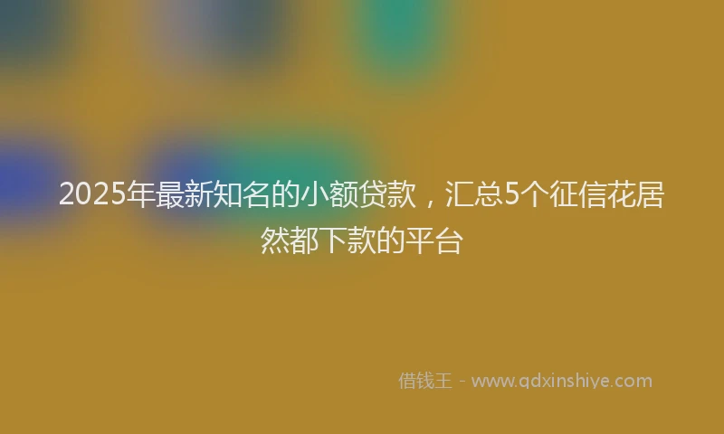 2025年最新知名的小额贷款，汇总5个征信花居然都下款的平台