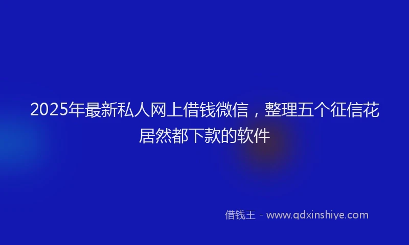 2025年最新私人网上借钱微信，整理五个征信花居然都下款的软件