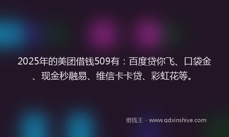 2025年的美团借钱509有：百度贷你飞、口袋金、现金秒融易、维信卡卡贷、彩虹花等。
