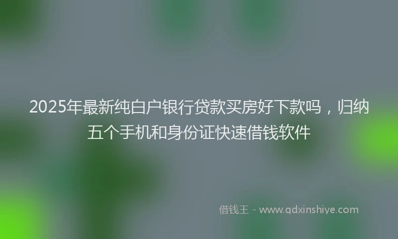 2025年最新纯白户银行贷款买房好下款吗，归纳五个手机和身份证快速借钱软件