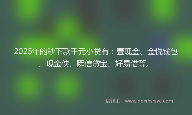 2025年的秒下款千元小贷有：壹现金、金悦钱包、现金侠、瞬信贷宝、好易借等。