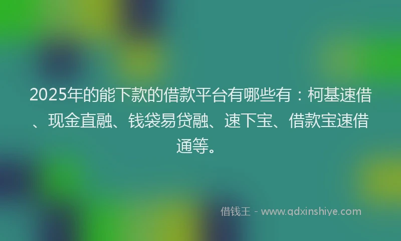 2025年的能下款的借款平台有哪些有：柯基速借、现金直融、钱袋易贷融、速下宝、借款宝速借通等。