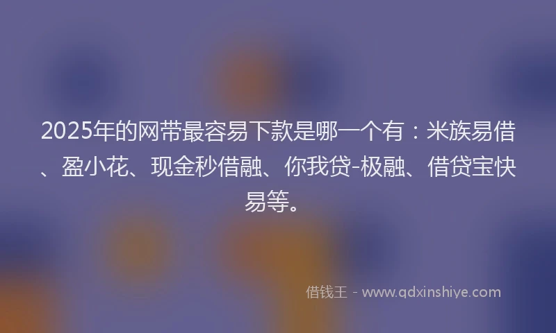 2025年的网带最容易下款是哪一个有：米族易借、盈小花、现金秒借融、你我贷-极融、借贷宝快易等。