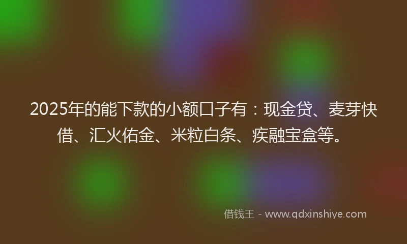 2025年的能下款的小额口子有：现金贷、麦芽快借、汇火佑金、米粒白条、疾融宝盒等。
