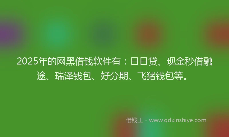 2025年的网黑借钱软件有：日日贷、现金秒借融途、瑞泽钱包、好分期、飞猪钱包等。