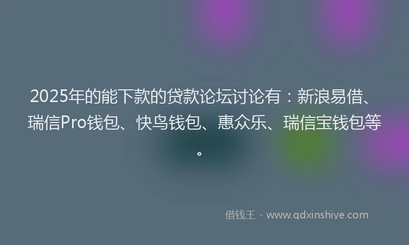 2025年的能下款的贷款论坛讨论有：新浪易借、瑞信Pro钱包、快鸟钱包、惠众乐、瑞信宝钱包等。