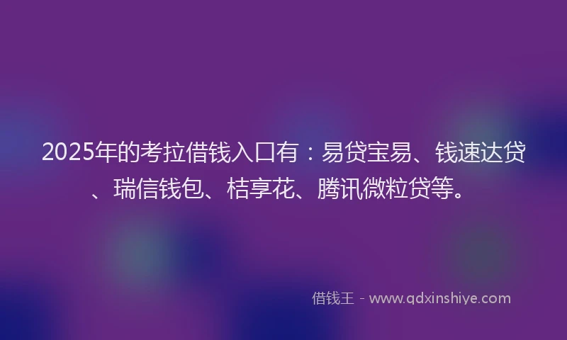 2025年的考拉借钱入口有：易贷宝易、钱速达贷、瑞信钱包、桔享花、腾讯微粒贷等。