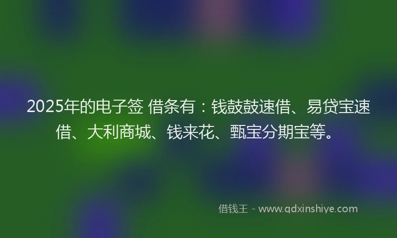 2025年的电子签 借条有：钱鼓鼓速借、易贷宝速借、大利商城、钱来花、甄宝分期宝等。