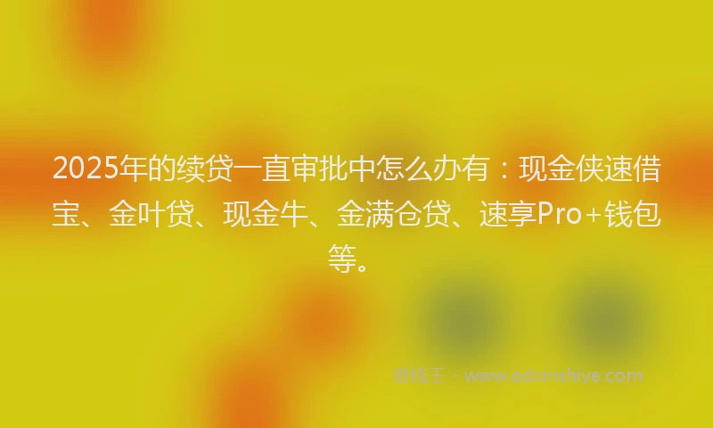 2025年的续贷一直审批中怎么办有：现金侠速借宝、金叶贷、现金牛、金满仓贷、速享Pro+钱包等。