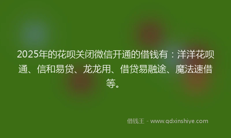 2025年的花呗关闭微信开通的借钱有：洋洋花呗通、信和易贷、龙龙用、借贷易融途、魔法速借等。
