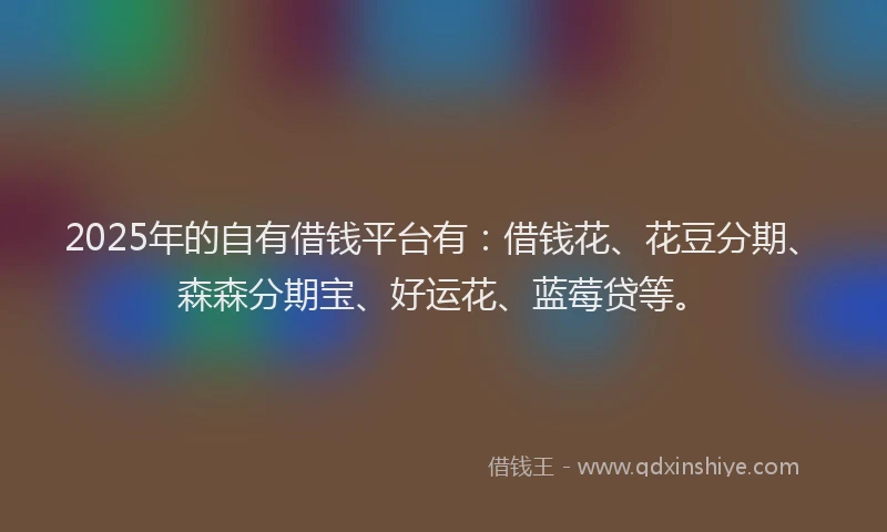 2025年的自有借钱平台有：借钱花、花豆分期、森森分期宝、好运花、蓝莓贷等。