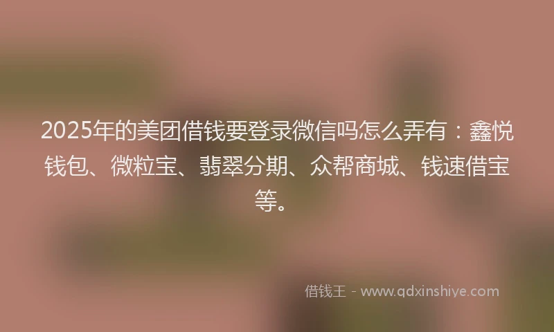 2025年的美团借钱要登录微信吗怎么弄有：鑫悦钱包、微粒宝、翡翠分期、众帮商城、钱速借宝等。