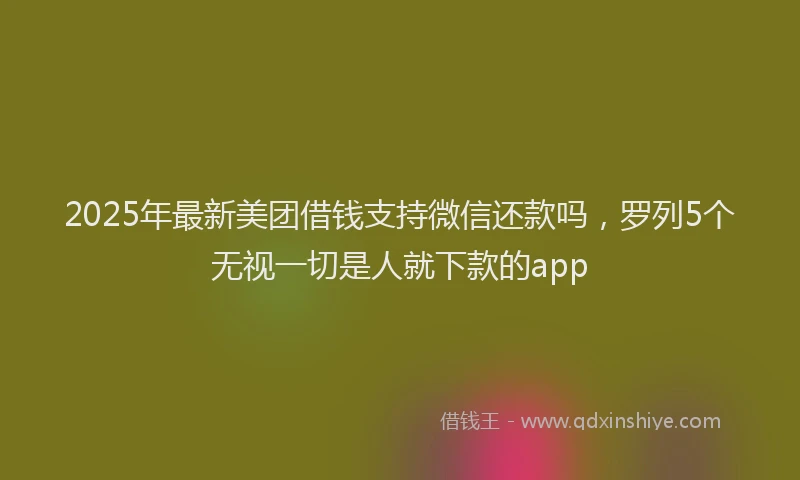 2025年最新美团借钱支持微信还款吗，罗列5个无视一切是人就下款的app