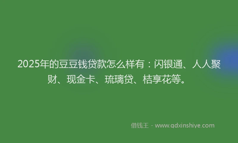 2025年的豆豆钱贷款怎么样有：闪银通、人人聚财、现金卡、琉璃贷、桔享花等。