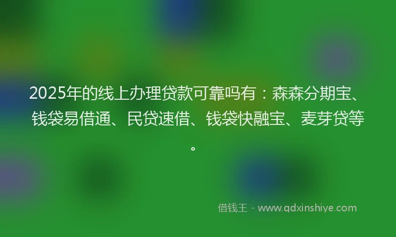 2025年的线上办理贷款可靠吗有：森森分期宝、钱袋易借通、民贷速借、钱袋快融宝、麦芽贷等。